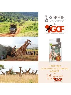 Coffret sauvegardons les girafes COFF SAUV GIRAF / 21PJJO016AJV999