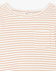 Tee-shirt rayé coton pima DIMY 21 / 21IV2311N0F114