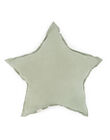 Coussin Star dune powder COUSIN STAR DNE / 24PCLT007ACLG610