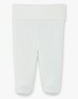Pantalon mixte en côte plate vanille coton pima DINO 21 / 21PV2411N3A114