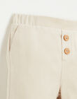 Pantalon effet lainage en coton FERNANDO 22 / 22IU2012N03801
