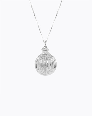 Bola de grossesse Merveille Coloris Argent  Ilado