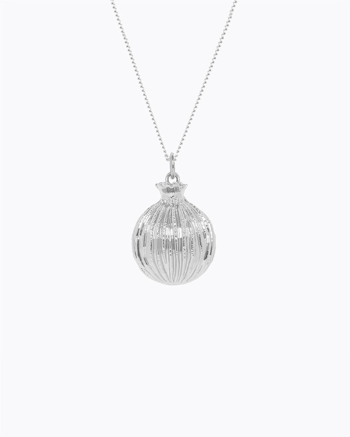 Bola de grossesse Merveille Coloris Argent Ilado