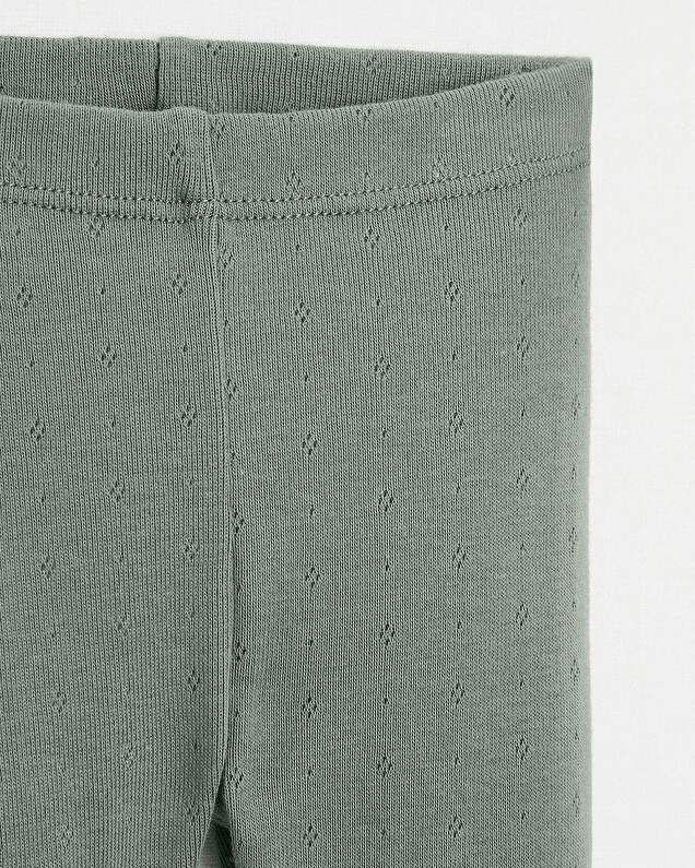 Caleçon sans pied en coton Coloris vert Natalys