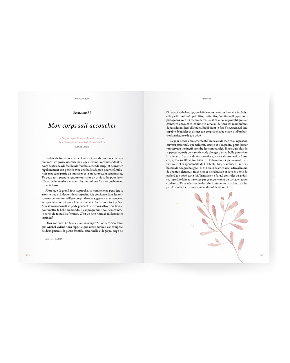 Guide de grossesse Mèr(e)veilleuse Ilado