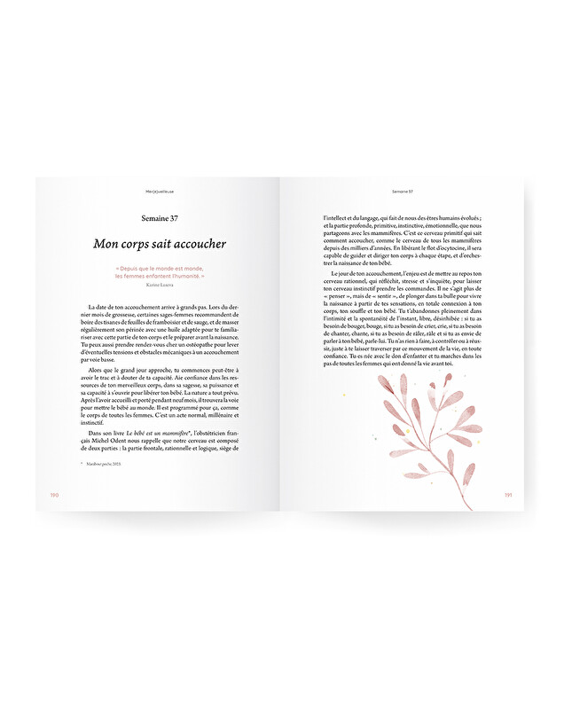 Guide de grossesse Mèr(e)veilleuse  Ilado