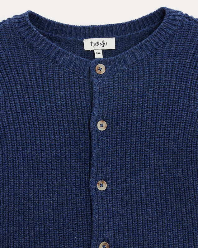 Gilet en tricot fantaisie James Coloris bleu nattier Natalys